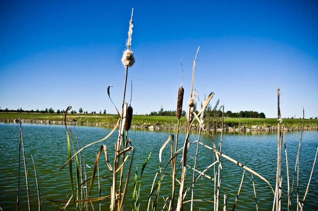 Golf Hotel Lisia Polana Pomocnia Экстерьер фото